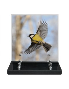 PLAQUE IMPRIMEE 21X21...