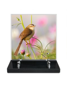 PLAQUE IMPRIMEE 21X21...