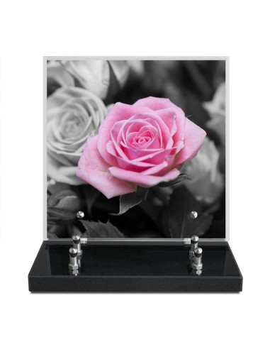 PLAQUE IMPRIMEE 21X21 FLEURS