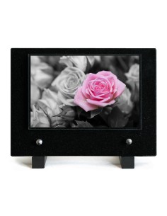 PLAQUE IMPRIMEE S/SOCLE...
