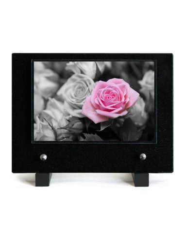 PLAQUE IMPRIMEE S/SOCLE 15X21 FLEURS