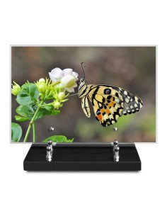 PLAQUE IMPRIMEE 20X30...