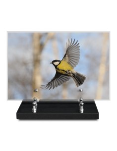 PLAQUE IMPRIMEE 20X30...