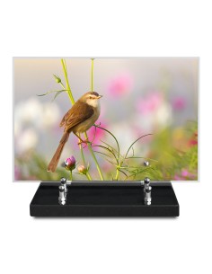 PLAQUE IMPRIMEE 20X30...