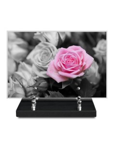 PLAQUE IMPRIMEE 20X30 FLEURS