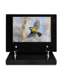 PLAQUE IMPRIMEE S/SOCLE...