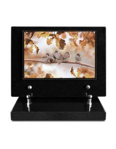PLAQUE IMPRIMEE S/SOCLE...