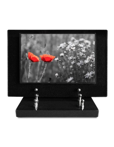 PLAQUE IMPRIMEE S/SOCLE 20X30 FLEURS