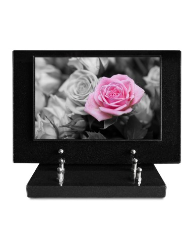 PLAQUE IMPRIMEE S/SOCLE 20X30 FLEURS