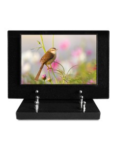 PLAQUE IMPRIMEE S/SOCLE...