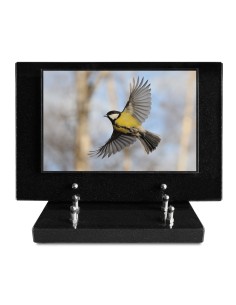 PLAQUE IMPRIMEE S/SOCLE...