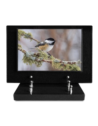 PLAQUE IMPRIMEE S/SOCLE 20X30 PAYSAGE / NATURE