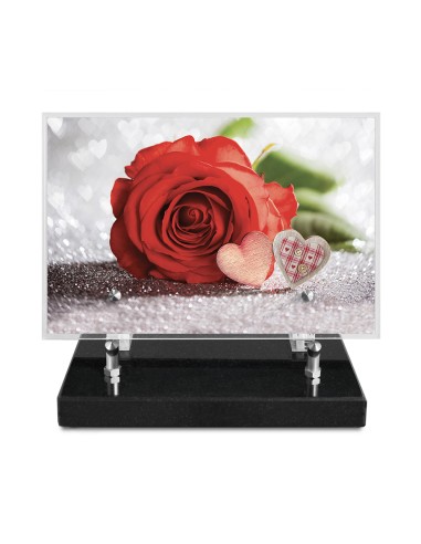 PLAQUE IMPRIMEE 15X22,5 FLEURS