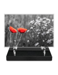 PLAQUE IMPRIMEE 15X22,5 FLEURS