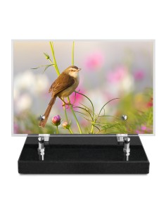PLAQUE IMPRIMEE 15X22,5...