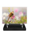 PLAQUE IMPRIMEE 15X22,5 PAYSAGE / NATURE
