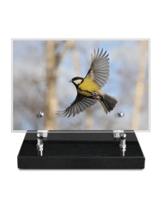 PLAQUE IMPRIMEE 15X22,5...