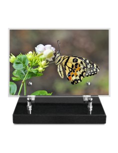 PLAQUE IMPRIMEE 15X22,5...