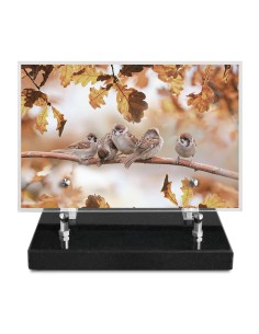 PLAQUE IMPRIMEE 15X22,5...