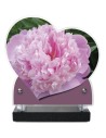 PLAQUE IMPRIMEE DOUBLE CŒUR 18X19 FLEURS