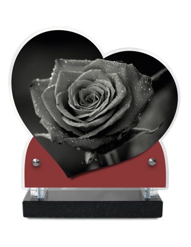 PLAQUE IMPRIMEE DOUBLE CŒUR 18X19 FLEURS