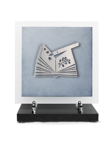 PLAQUE EN GRES CERAME + MOTIF INOX 24X24CM LIVRE