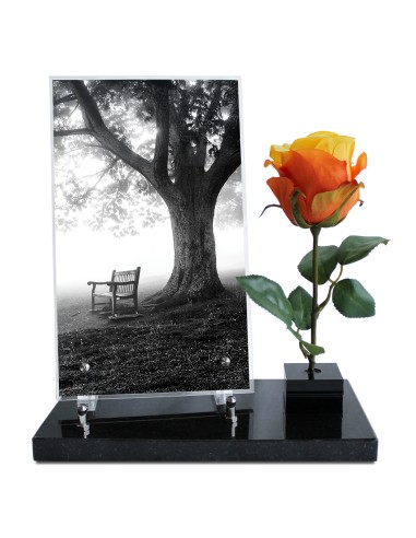 PLAQUE ALTUGLAS 28X30CM AVEC ROSE ET...