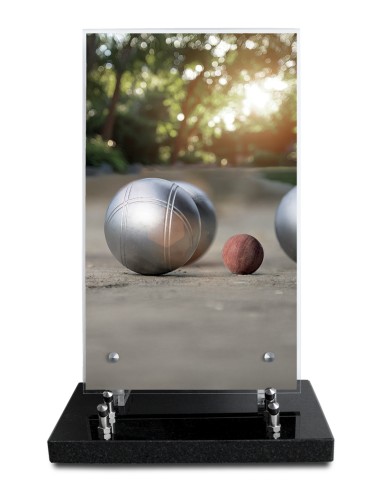 PLAQUE ALTUGLAS IMPRIME 18X30CM SANS...