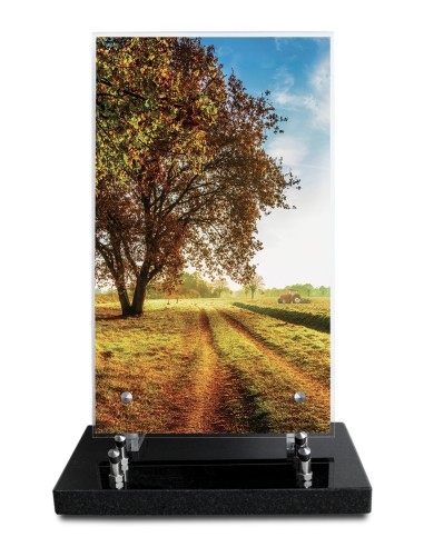 PLAQUE ALTUGLAS IMPRIME 18X30CM SANS...