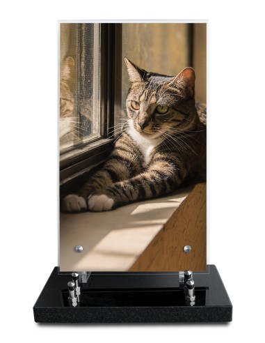 PLAQUE ALTUGLAS IMPRIME 18X30CM SANS...