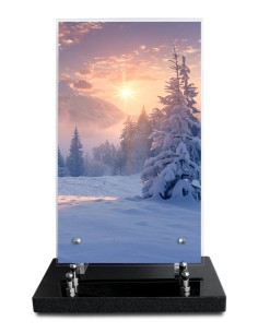 PLAQUE ALTUGLAS IMPRIME...