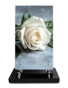 PLAQUE ALTUGLAS IMPRIME...