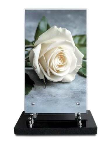 PLAQUE ALTUGLAS IMPRIME 18X30CM SANS...