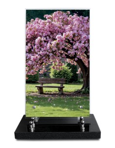 PLAQUE ALTUGLAS IMPRIME...