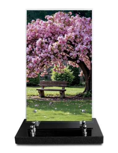 PLAQUE ALTUGLAS IMPRIME 18X30CM SANS...