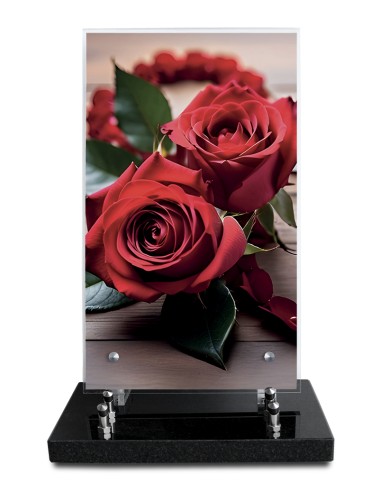 PLAQUE ALTUGLAS IMPRIME 18X30CM SANS...