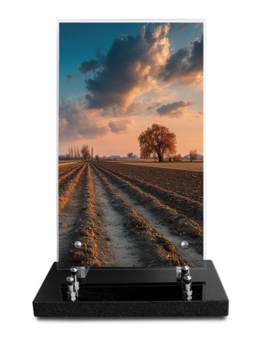 PLAQUE ALTUGLAS IMPRIME 18X30CM SANS...