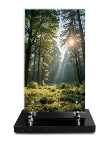 PLAQUE ALTUGLAS IMPRIME 18X30CM SANS...