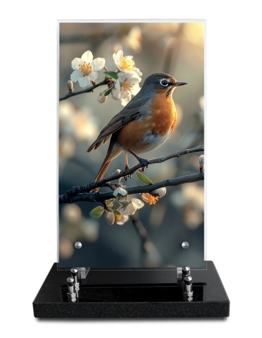 PLAQUE ALTUGLAS IMPRIME 18X30CM SANS...
