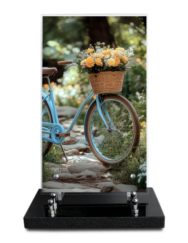PLAQUE ALTUGLAS IMPRIME 18X30CM SANS...