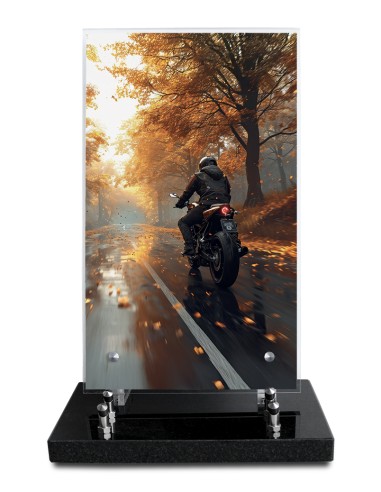 PLAQUE ALTUGLAS IMPRIME 18X30CM SANS...