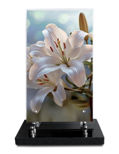 PLAQUE ALTUGLAS IMPRIME 18X30CM SANS...
