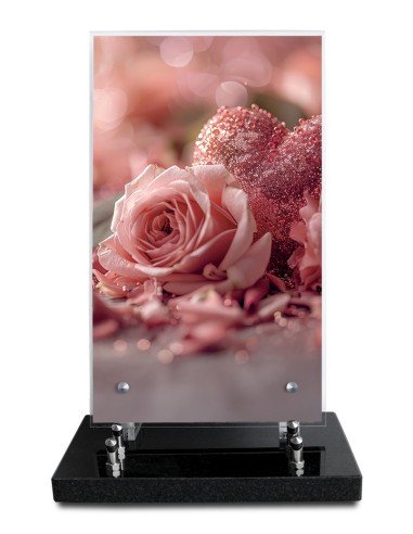 PLAQUE ALTUGLAS IMPRIME 18X30CM SANS...