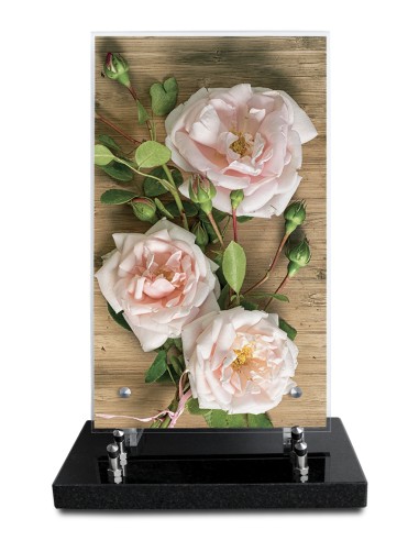 PLAQUE ALTUGLAS IMPRIME 18X30CM SANS...