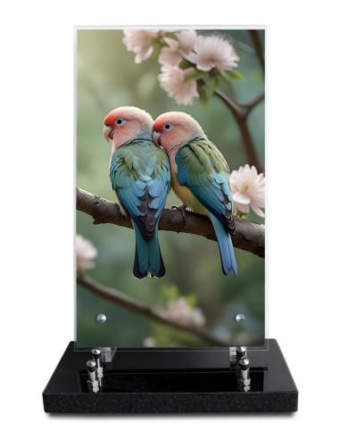 PLAQUE ALTUGLAS IMPRIME 18X30CM SANS...