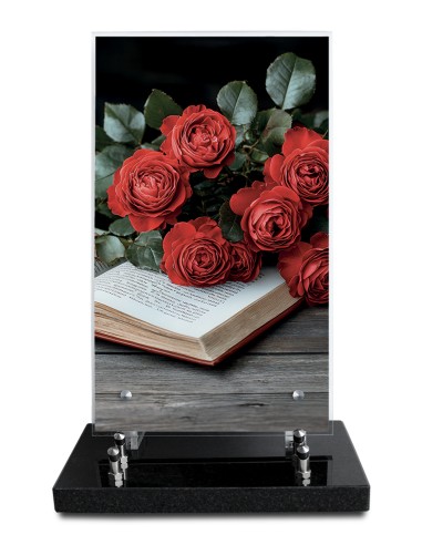 PLAQUE ALTUGLAS IMPRIME 18X30CM SANS...