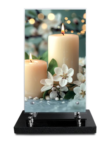 PLAQUE ALTUGLAS IMPRIME 18X30CM SANS...
