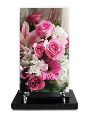 PLAQUE ALTUGLAS IMPRIME 18X30CM SANS...
