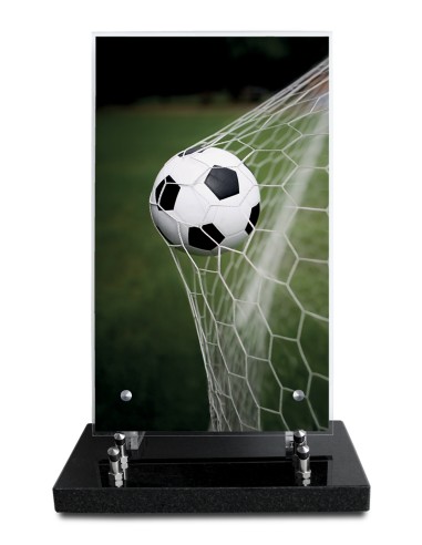 PLAQUE ALTUGLAS IMPRIME 18X30CM SANS...