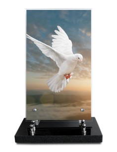 PLAQUE ALTUGLAS IMPRIME...